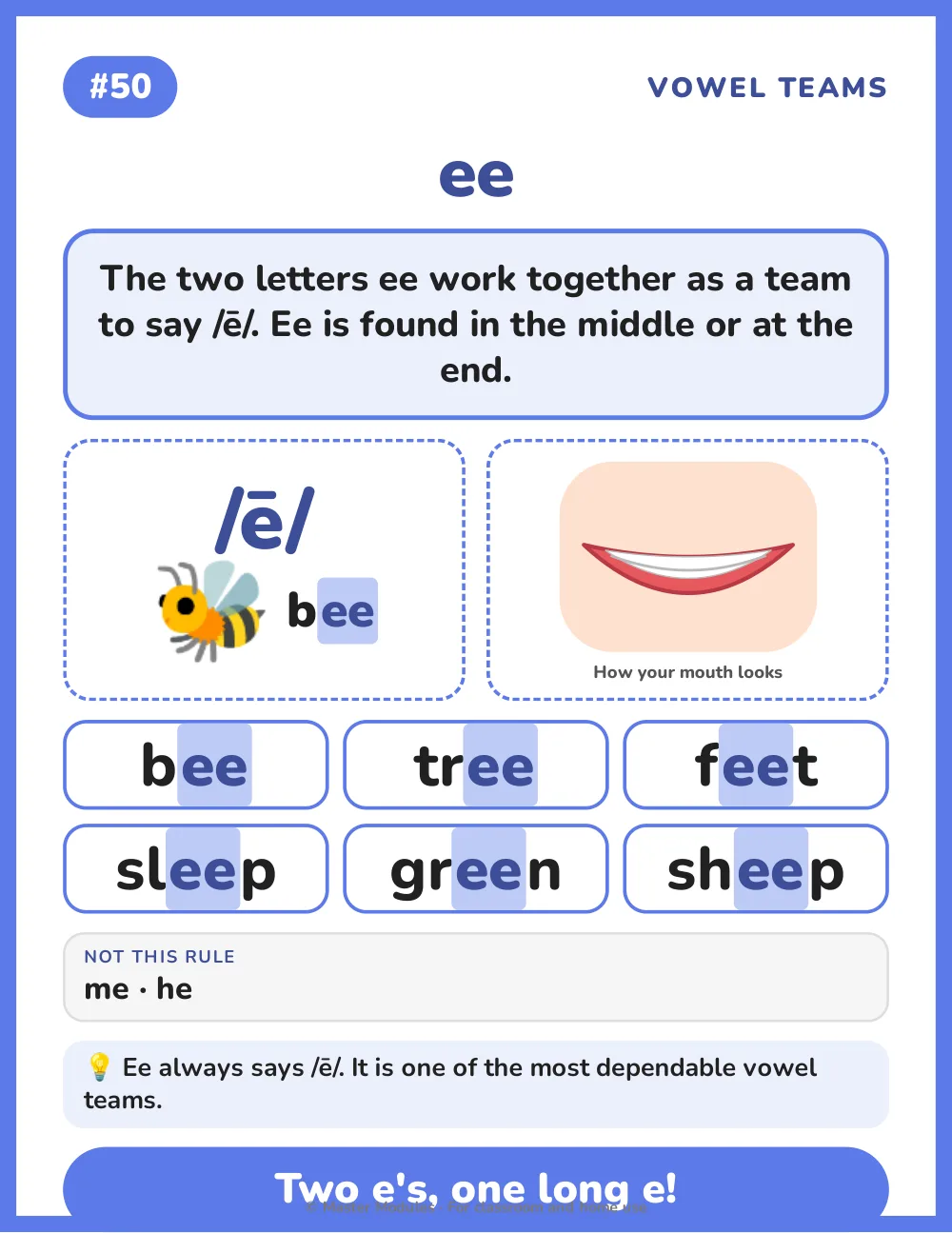 Phonics poster for the ee vowel team, with a bee and the words bee, tree, feet, sleep, green and sheep